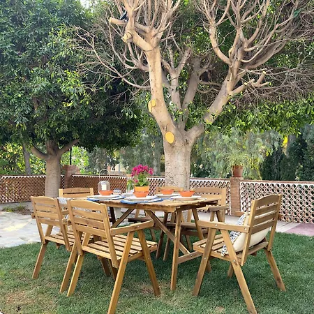 Clavero Four Premium *
